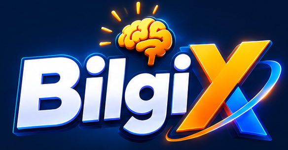 BilgiX